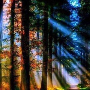 Meet your Posher, Aaron-cheri